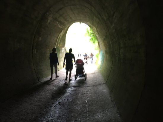 Pomnik ku pamięci króla Zygmunta III Wazy